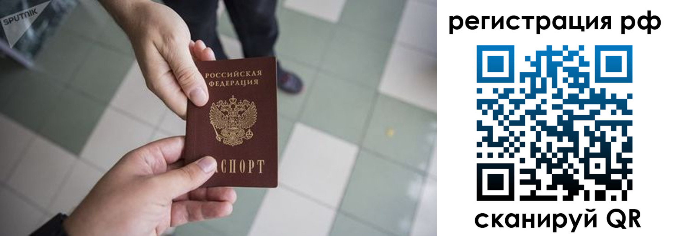 прописка гарантия в Орле